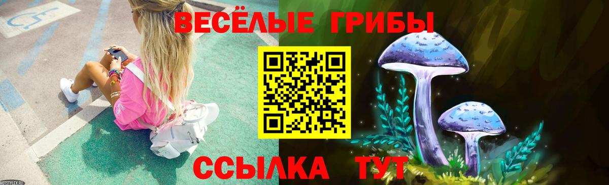 Псилоцибиновые грибы MAGIC MUSHROOMS  Псилоцибиновые грибы GOLDEN TEACHER  Вход с VPN  Старая Купавна 